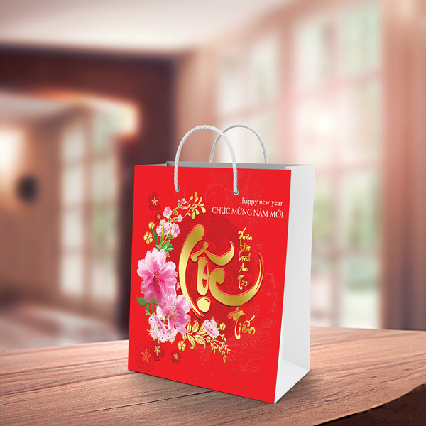 Hình ảnh: Túi hộp đựng quà tết đẹp